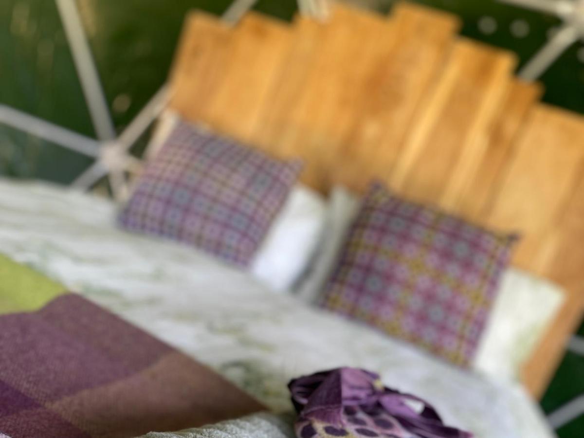 Geodesic Dome Glamping * Llanidloes