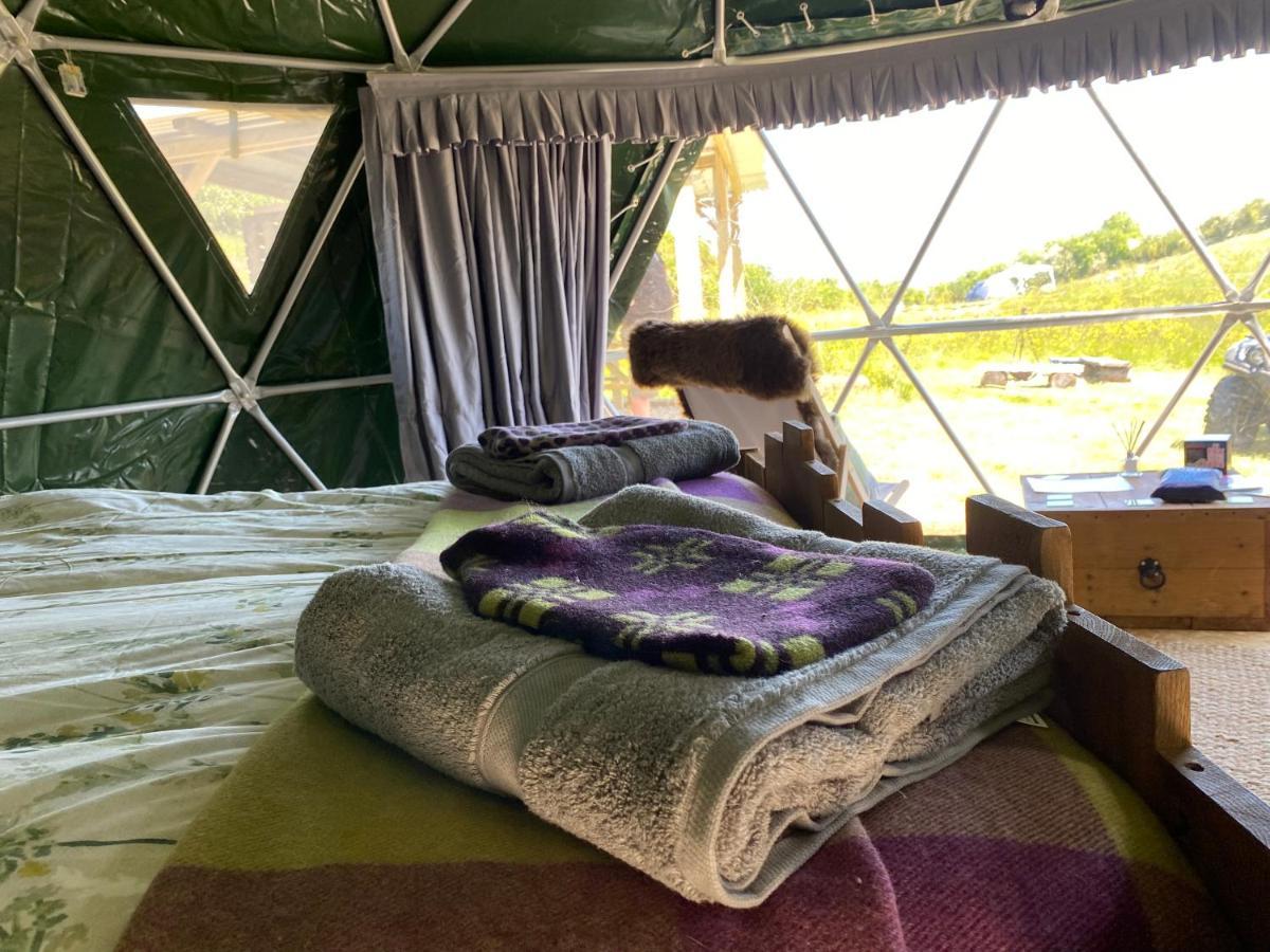 Geodesic Dome Glamping * Llanidloes