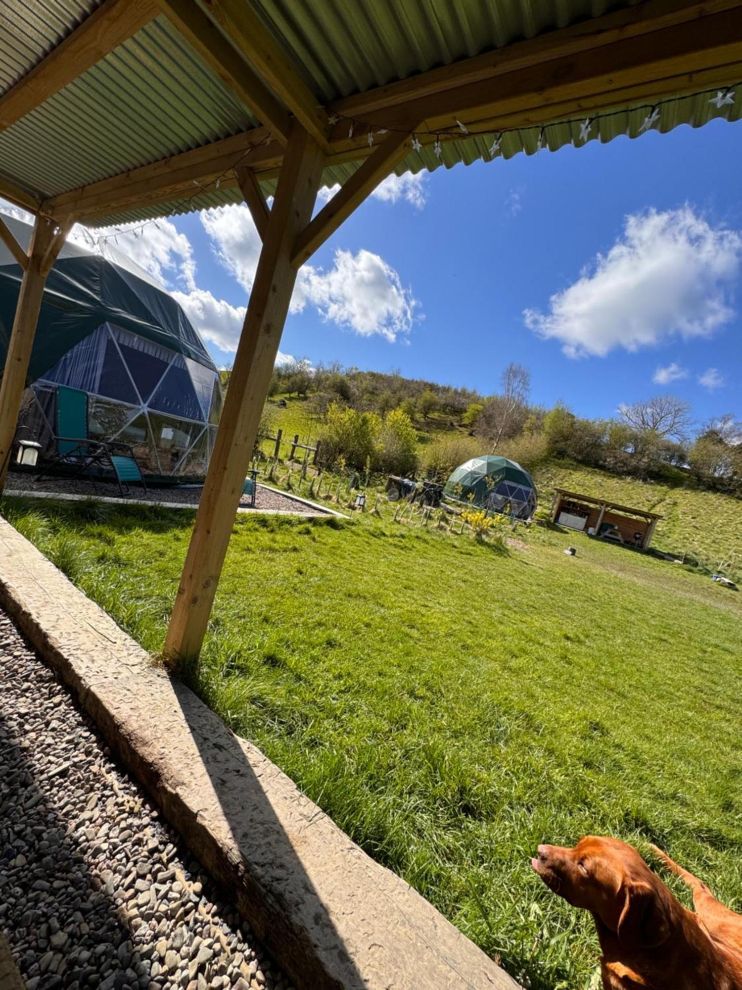 Luxury tent Geodesic Dome Glamping Llanidloes